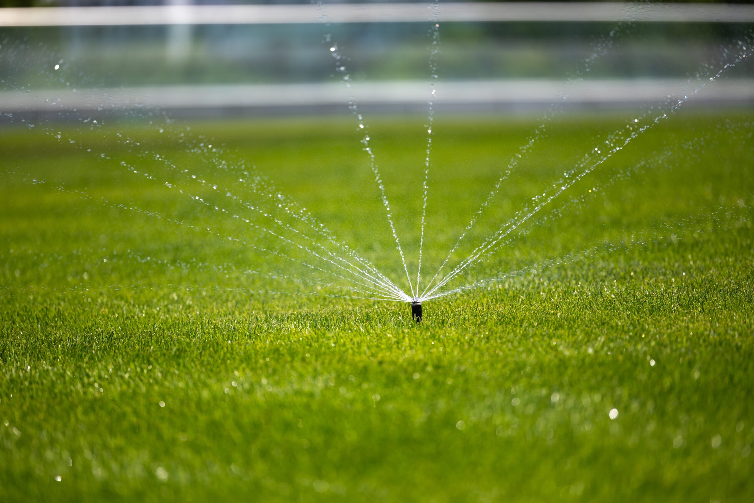 A lawn with water sprinklers on it