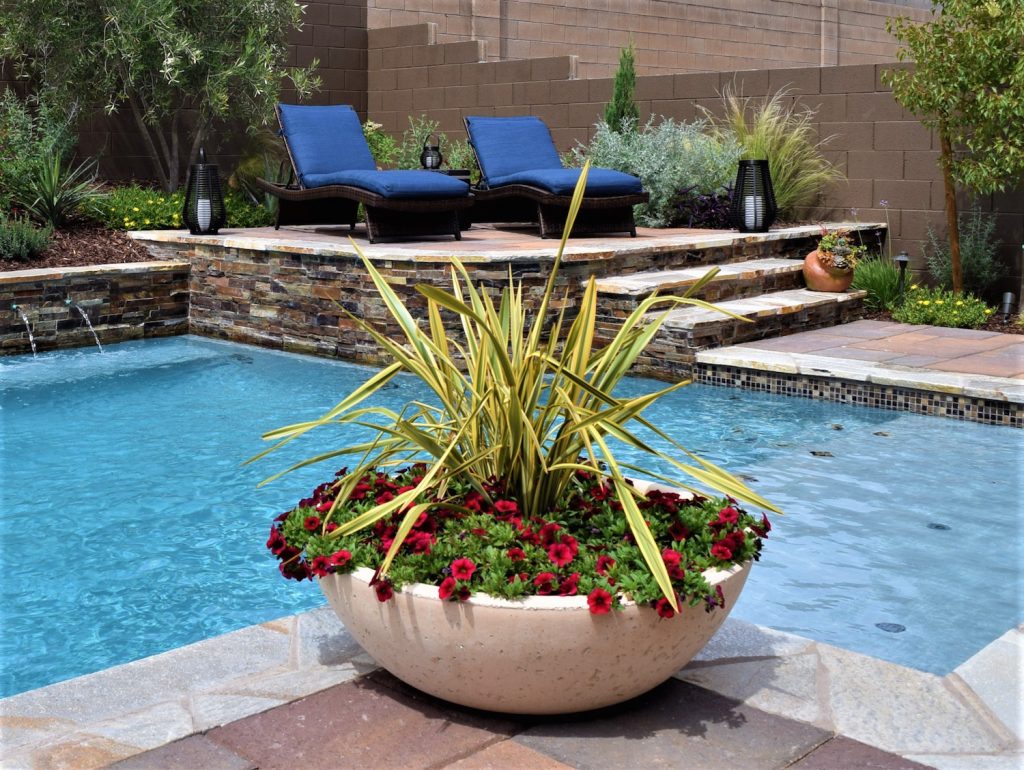 A large planter with flowers in it by the pool